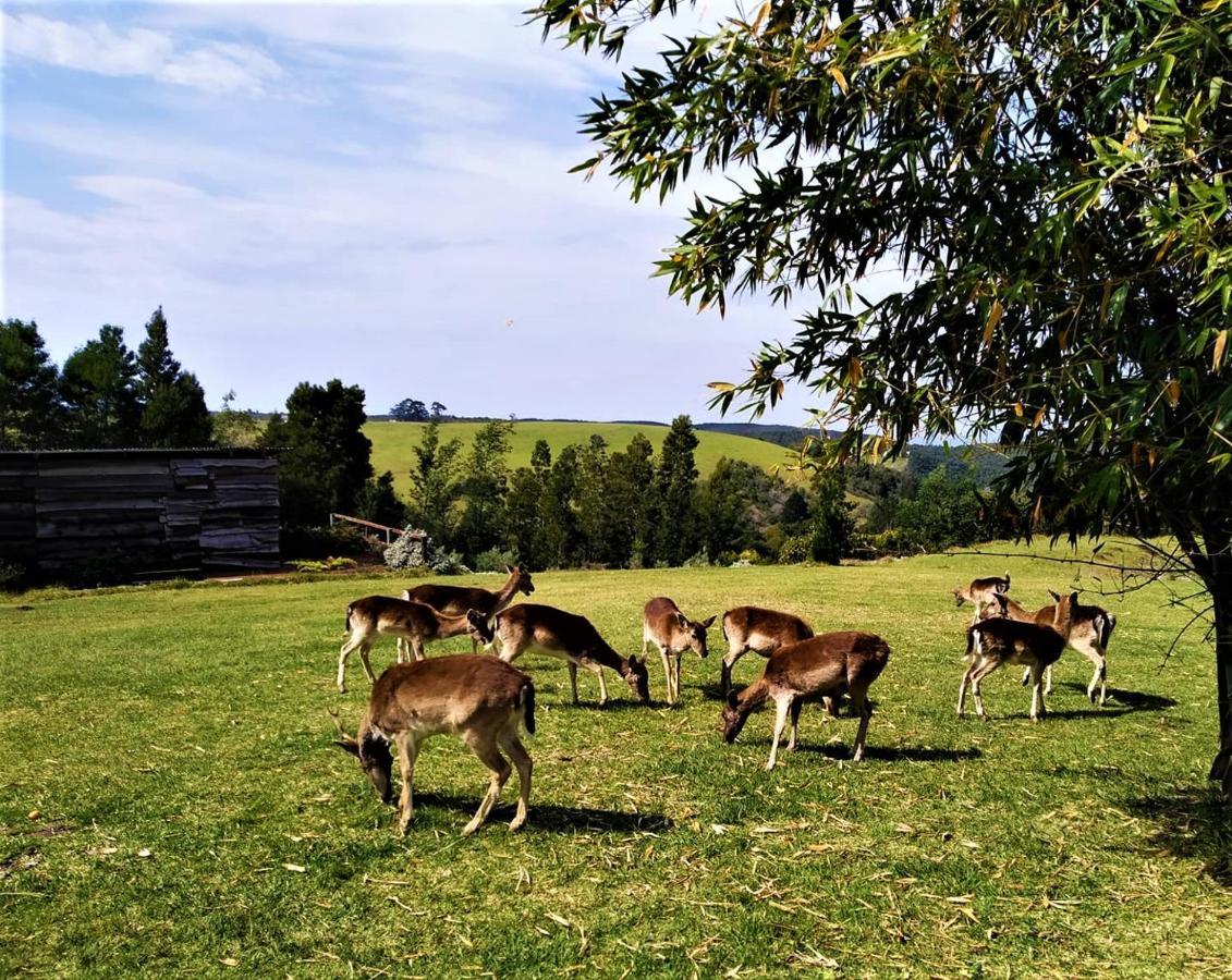 Green Hills Forest Lodge The Crags Esterno foto