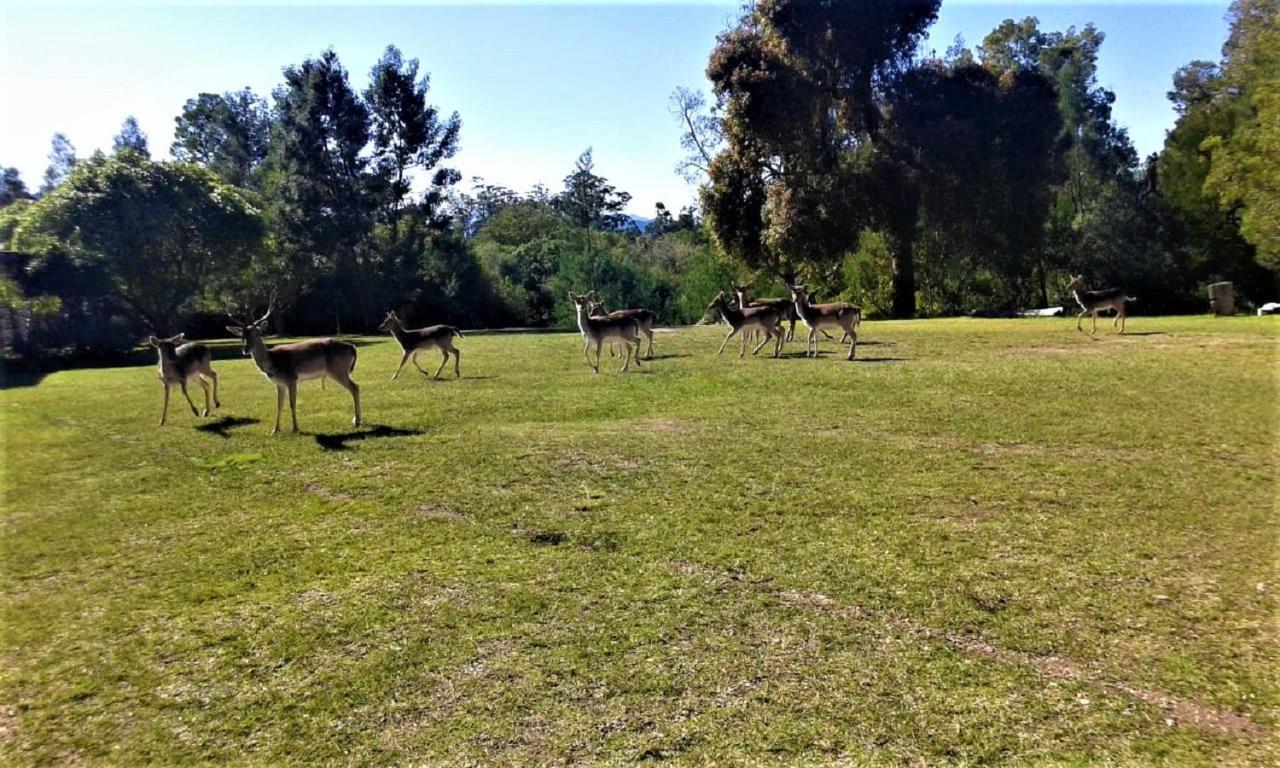 Green Hills Forest Lodge The Crags Esterno foto